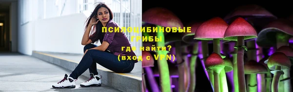дурь Надым