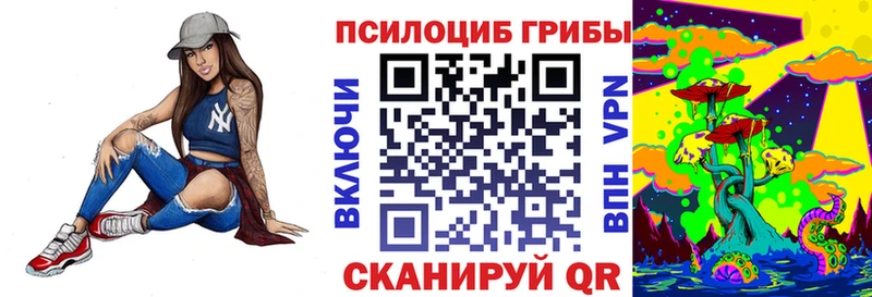 купить наркотики сайты  Первомайск  Галлюциногенные грибы MAGIC MUSHROOMS 